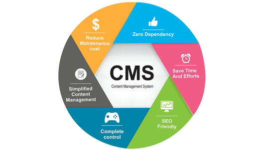 Find a Good CMS Delhi