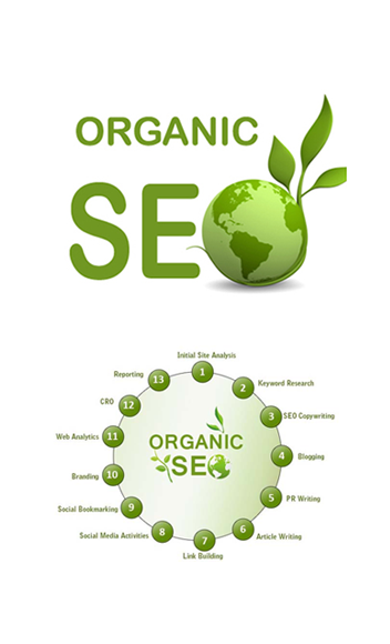 Organic SEO Cochin