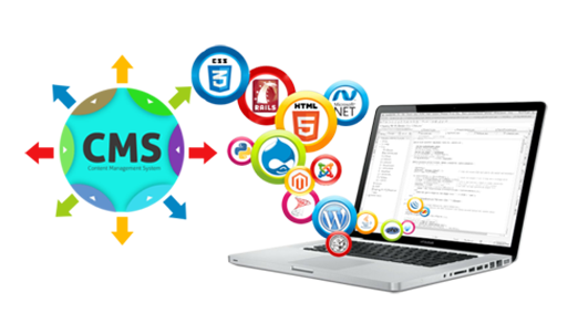 Application Development | Content Management System (CMS) Delhi, Mumbai (Bombay), Hyderbad, Pune, Bengaluru (Bangalore) Chennai( Madras), Coimbatore, Kochi (Cochin), Calicut (Kozhikode).